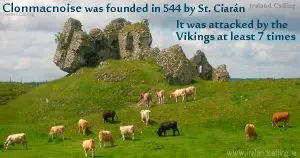 Clonmacnoise Castle and cattle. Photo copyright Javierme CC2.5
