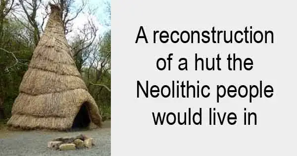 A reconstruction of a hut the Neolithic people would live in