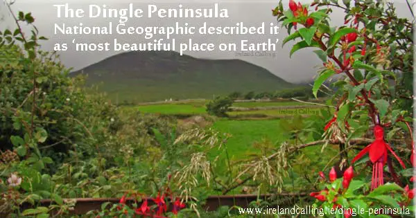 The Dingle Peninsula - National Geographic described it as the 'most beautiful place on Earth'. Image copyright Ireland Calling