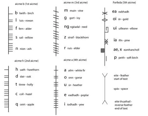 Ogham alphabet with meanings. Image copyright Ireland Calling
