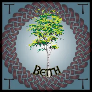 The Birch Tree in Celtic mythology | Ireland Calling