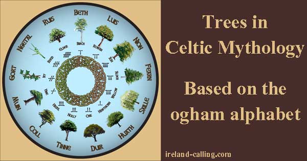 Trees in Celtic Mythology. Image copyright Ireland Calling