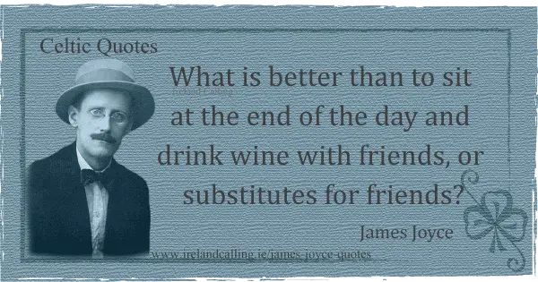 James Joyce quote. What is better than to sit at the end of the day to drink wine with friends, or substitutes for friends. Image copyright Ireland Calling