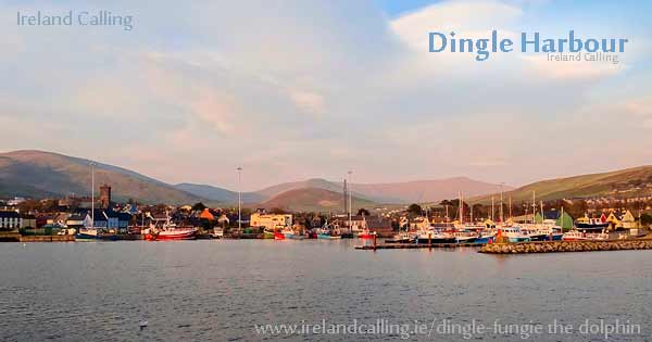 Dingle-harbour-photo-Uspn-_CC3-Image-Ireland-Calling