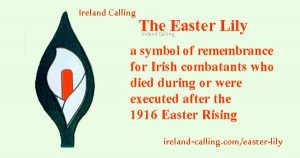 Easter Lily. Irish symbol of peace