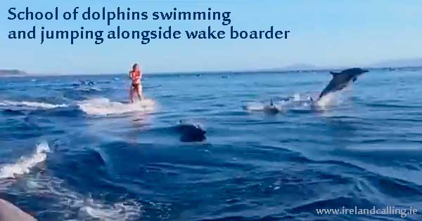 Amazing-video-of-school-of-dolphins-swimming-and-jumping-alongside-wake-boarder