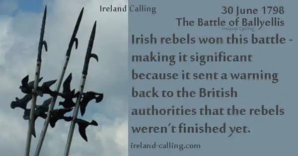 Battle-of-Ballyellis-Image-copyright-Ireland-Calling