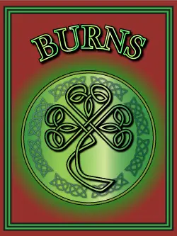 History of the Irish name Burns. Image copyright Ireland Calling