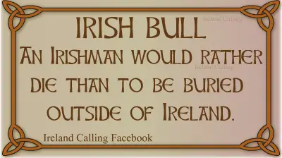 Irish Bull. Image copyright Ireland Calling