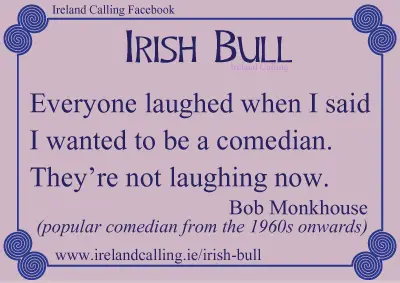 Top-ten_Irish-Bull_Everyone-laughed-when-I-said