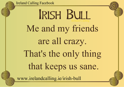 Top-ten_Irish-Bull_Me-and-my-friends-are-crazy