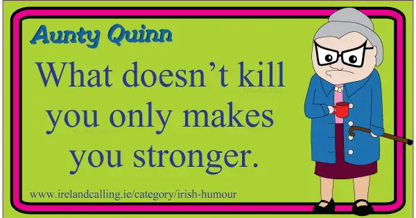 Aunty Quinn cartoon. Image copyright Ireland Calling