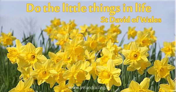 Irish wisdom. Do the little things. Image copyright Ireland Calling