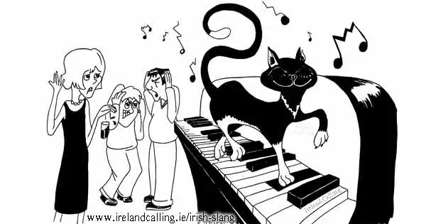 Cat on piano. Image copyright Ireland Calling