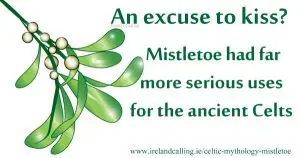 Mistletoe. An excuse to kiss. Image copyright Ireland Calling