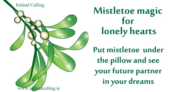 Traditional Irish New Year celebrations Mistletoe magic  Image copyright Ireland Calling