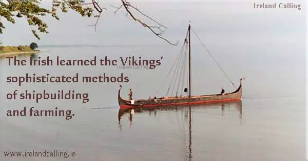  The Irish also learned from the Vikings’ more sophisticated methods of shipbuilding and farming