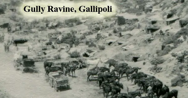 Gully Ravine, Gallipoli