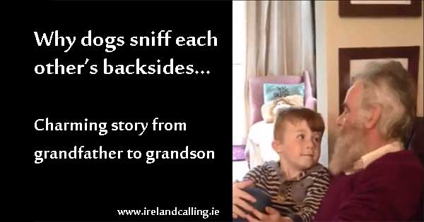 Why dogs sniff each other’s backsides – charming story from grandfather to grandson
