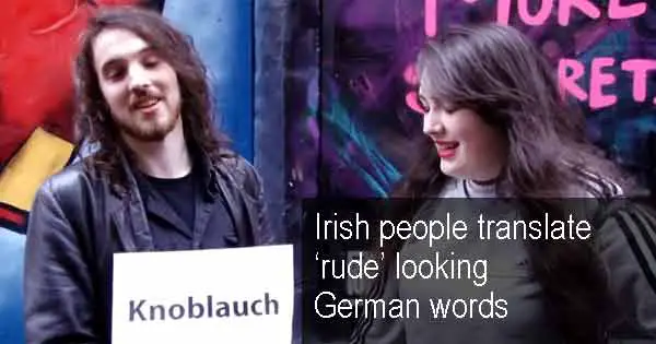 Irish people translate 'rude' looking German words
