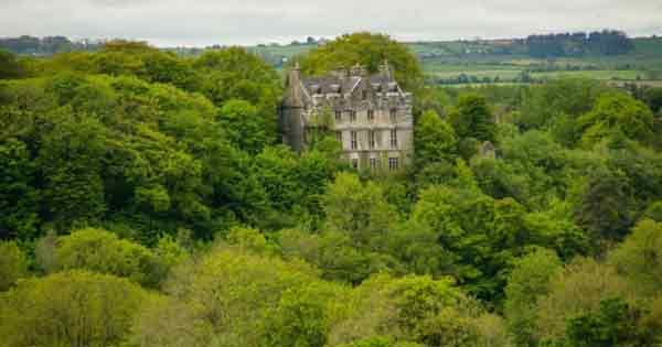 Carrigrohane Castle in the middle of the woodland