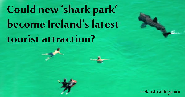 Experts want 'shark park' on Wild Atlantic Way