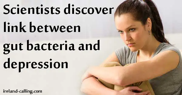 Scientists discover link between gut bacteria and depression