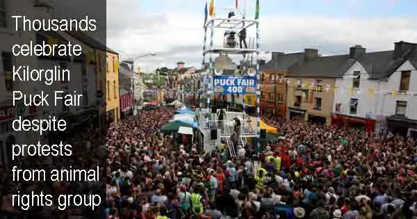 Thousands celebrate Kilorglin Puck Fair despite protests from animal rights group