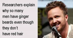 Researchers explain why so many men have ginger beards even though they don’t have red hair. Photo copyright Gage Skidmore cc3