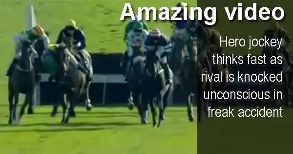 Amazing video - Hero jockey thinks fast as rival is knocked unconscious in freak accident