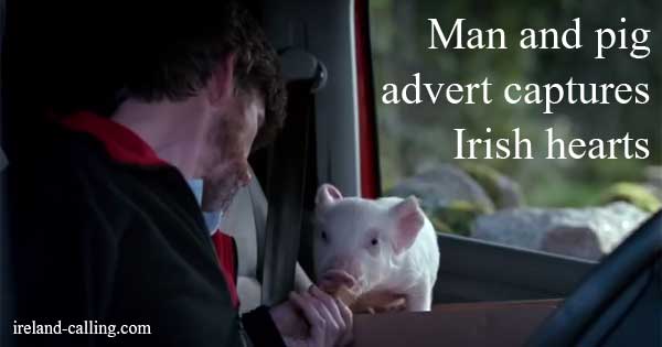 man and pig advert captures Irish hearts