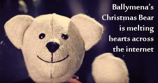 Ballymena Bear Christmas advert big hit online