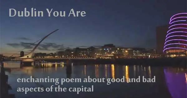 Dublin You Are. Stephen James Smith