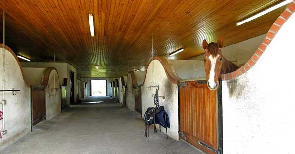 Niall Quinn house for sale stables