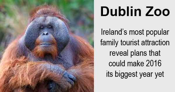 Dublin Zoo is Ireland's most popular family attraction and is set to open an Orangutan Forest in 2016
