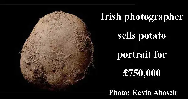 Irish photographers potato picture sells for £750,000