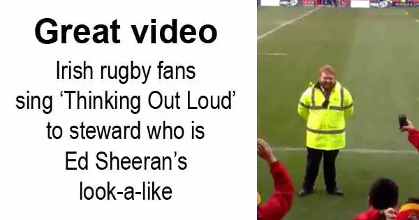 Great video - Irish rugby fans sing ‘Thinking Out Loud’ to steward who is Ed Sheeran’s look-a-like