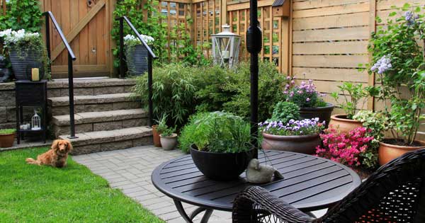 Big ideas for small spaces in the garden