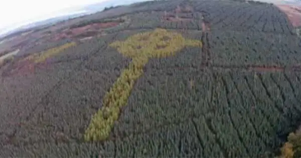 Incredible Celtic Cross tree formation only visible from the sky