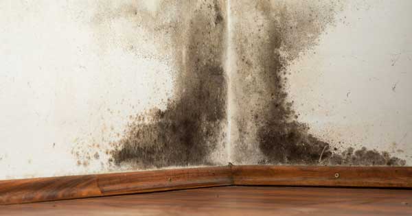 5 tips for dealing with damp