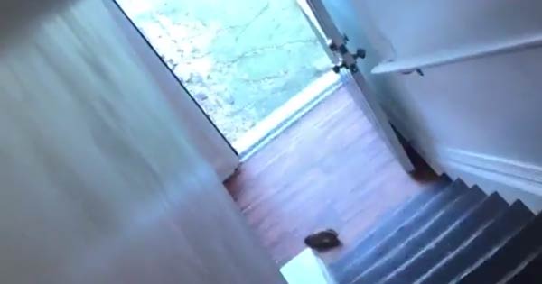 A group of young women find ingenious way to get rid of a rat from their house