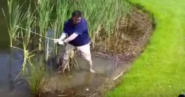 Hilarious and unbelievable golf shot caught on camera