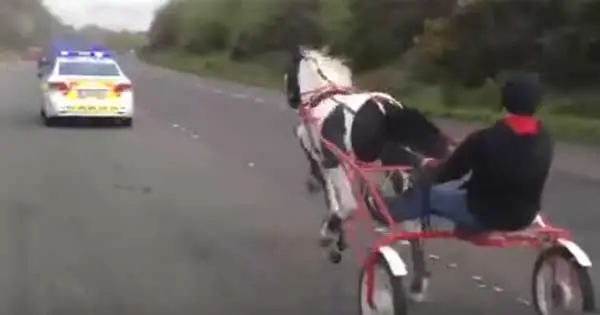 Incredible footage of horse and cart race on busy road