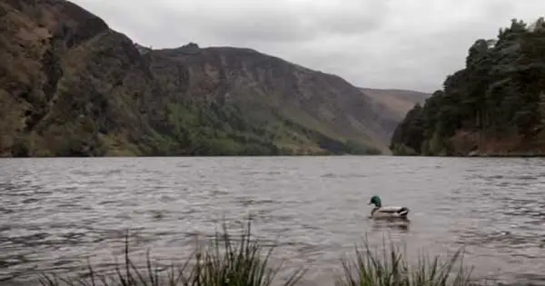 Incredible video showcases stunning beauty of Glendalough