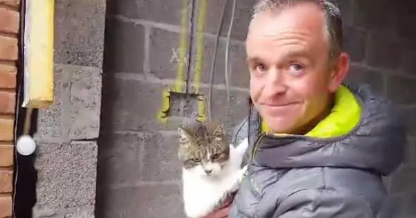 Kind hearted man makes hole in his wall to rescue trapped cat