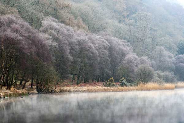Glendalough photographed by Peter McCabe