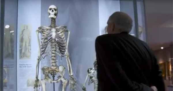 Campaigners call for British museum to release skeleton of 18th century Irish giant
