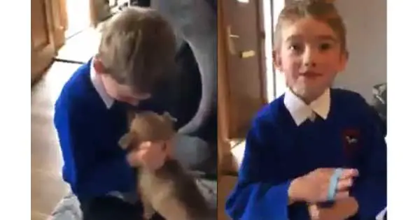 Adorable birthday boy is so thrilled with his surprise puppy