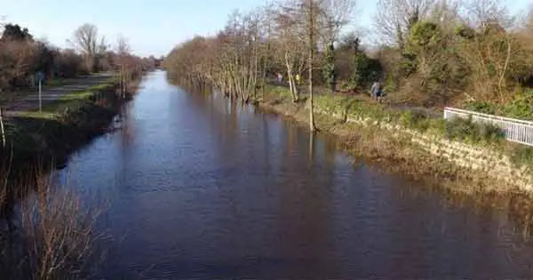 Canal Bank in Corbally (photo Limerick Civic Trust)