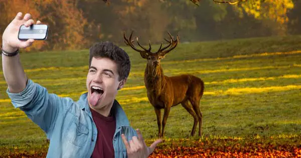Public warned not to take selfies with wild deer during mating season